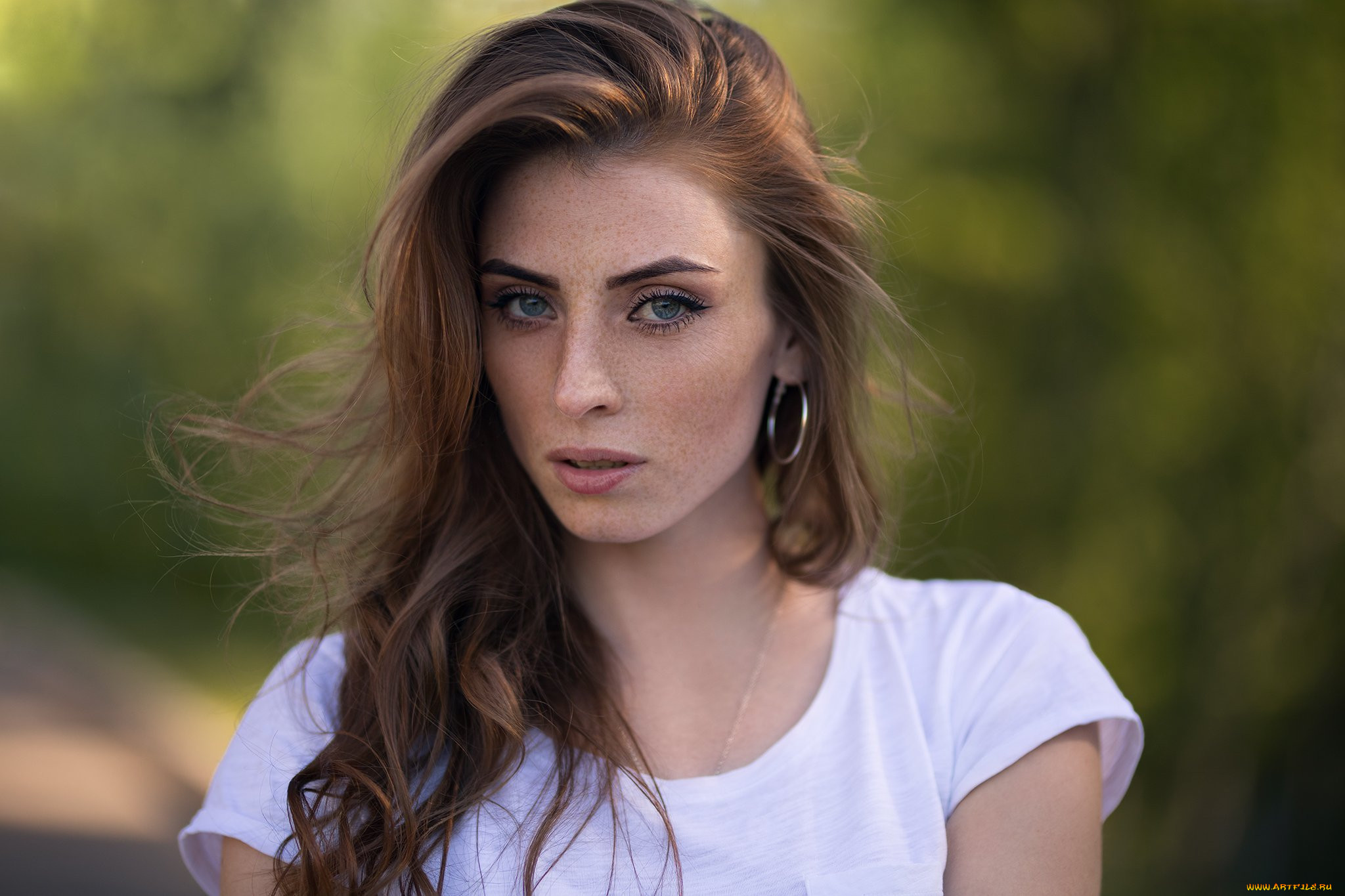 , - ,  , , , 